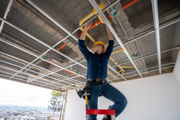 Best Leak Detection Services  in Point Mackenzie, AK